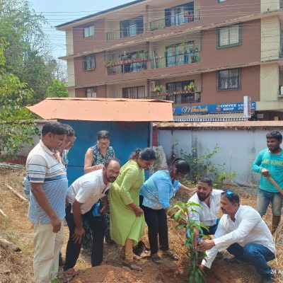 Initiative of Sappling Plantation 2025